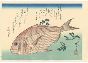 A Series of Fish Subjects / Sea bream and Japanese pepper【Reproduction】