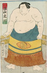 相撲絵　土州 海山太郎