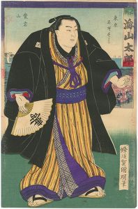 相撲絵　土州 海山太郎