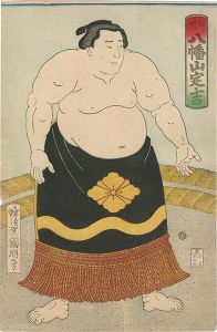 相撲絵　土州 八幡山定吉
