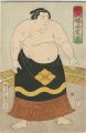 Sumo-e/ Yahatayama Sadakichi f......