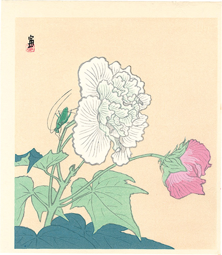 徳力富吉郎「キリギリスと芙蓉（仮題）」