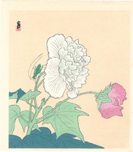 徳力富吉郎「キリギリスと芙蓉（仮題）」