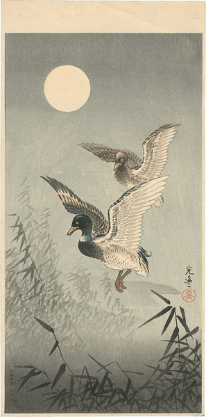 土屋光逸「鴨」