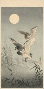 土屋光逸「鴨」