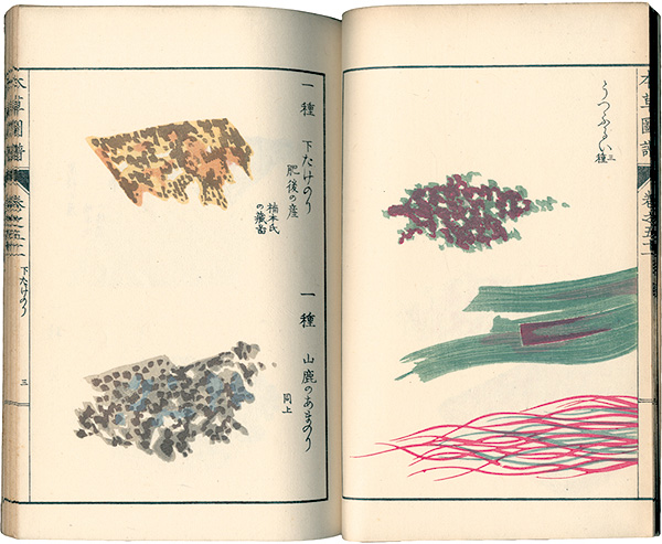 「本草図譜　巻之五十一 菜部水菜類」岩崎灌園