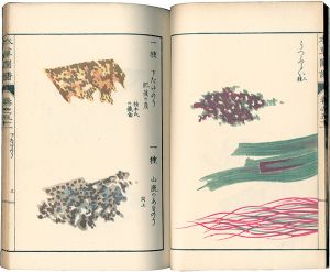 本草図譜　巻之五十一 菜部水菜類