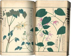 「本草図譜　巻之二 山草類二」岩崎灌園