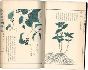 「本草図譜　巻之廿七 蔓草類六」岩崎灌園