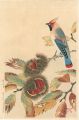 Chestnuts and a Waxwing