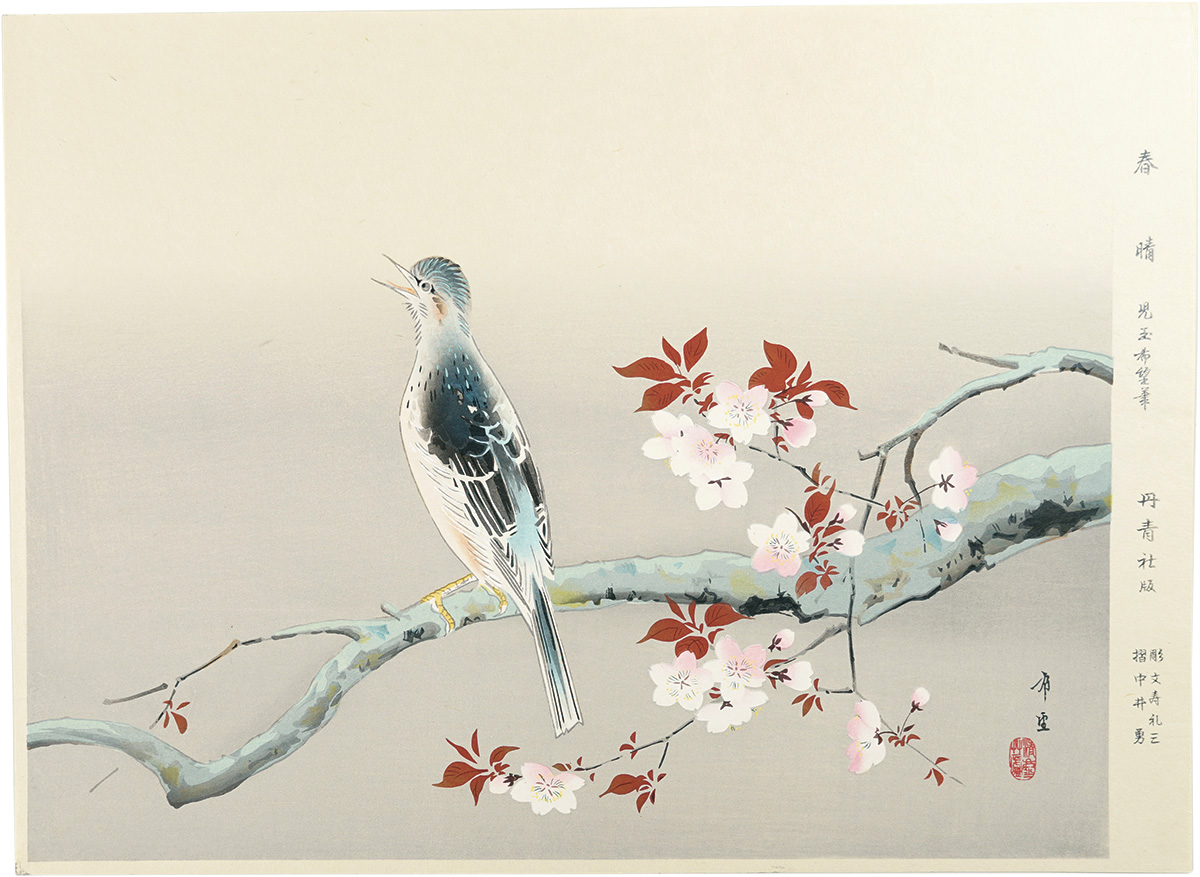 Kodama Kibou “Sunny Spring”
