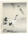 Birds and Flowers of the Four ......