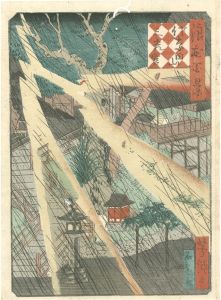 芳瀧「浪花百景　佐奈田山三光宮」