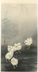 小原古邨（祥邨）「蚯蚓を取りあうひよこ」