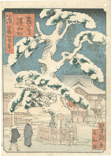 芳瀧「浪花百景　森の宮蓮如松」