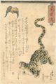 The Picture of a Tiger