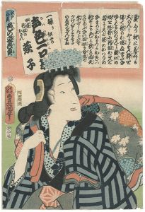 豊国三代「江戸の花色の立贔屓　一振り似たか声色一口茄　女達釣船のおさん 燕子」