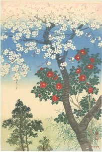 川面義雄（根来莱山）「櫻下椿花」