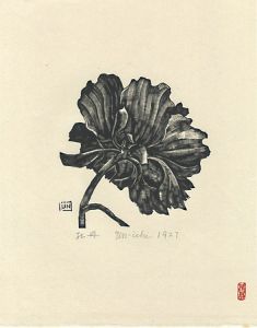 牡丹