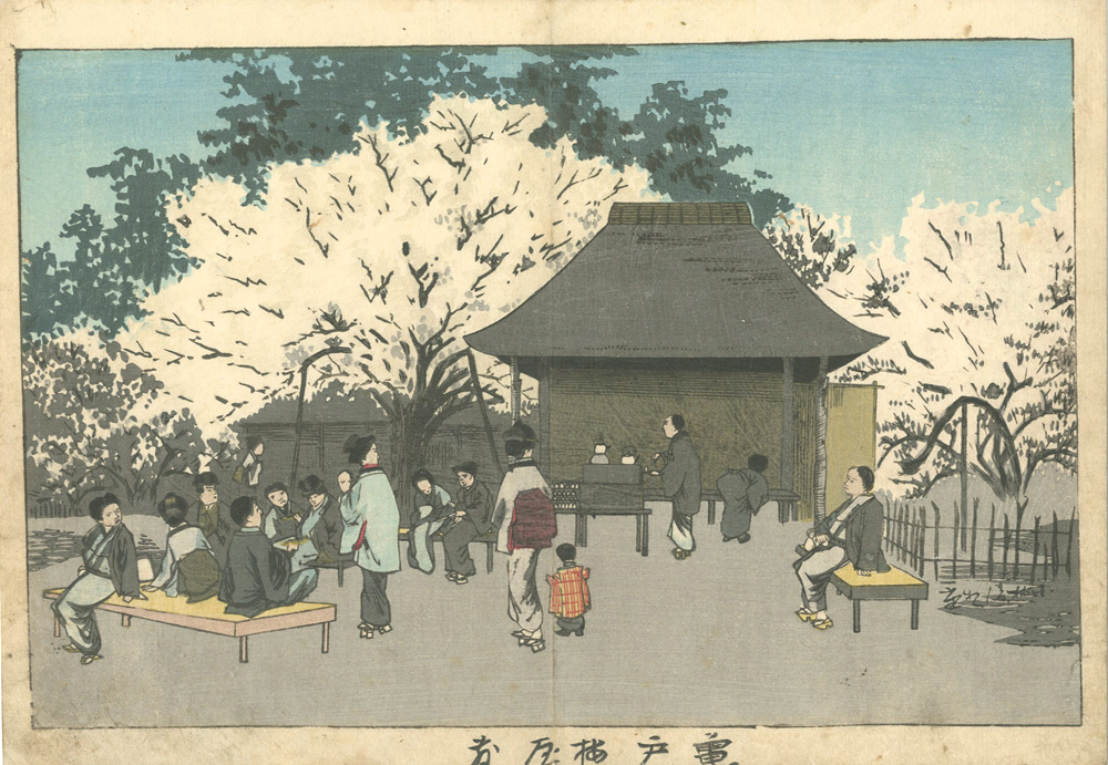 清親「亀戸梅屋敷」
