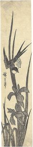 広重初代「花菖蒲に小鳥（仮題）」
