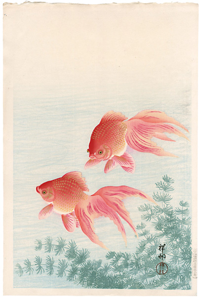 小原古邨（祥邨）「金魚」