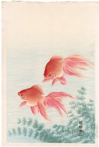 小原古邨（祥邨）「金魚」