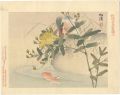 Shokei's Bird-and-flower Album......