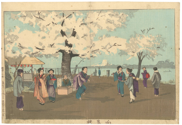 清親「向島桜」