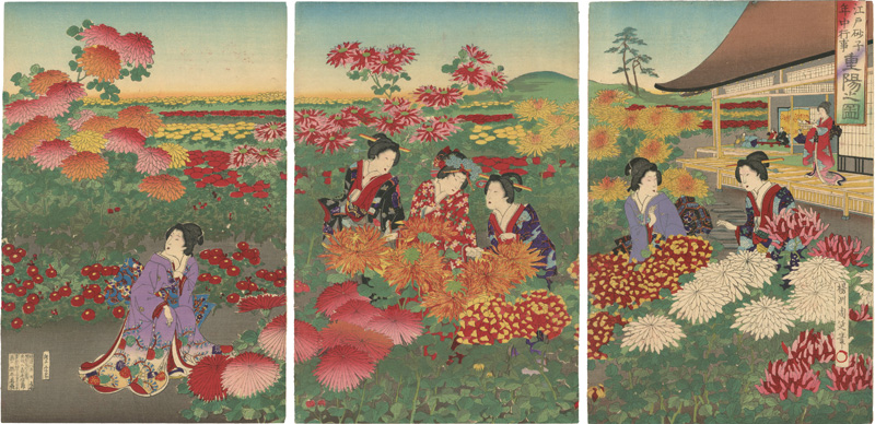 Chikanobu “Events in Edo Throughout the Year on Gold-speckled Paper / Scenes from a Chrysanthemum Festival”