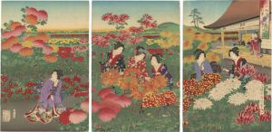Chikanobu / Events in Edo Throughout the Year on Gold-speckled Paper / Scenes from a Chrysanthemum Festival [江戸砂子年中行事　重陽之図]