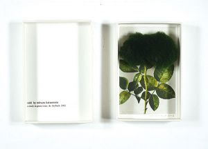 Odd／a study in green／anne de diesbach 2002