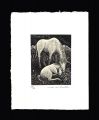 Exlibris