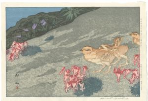 Yoshida Hiroshi / Twelve Scenes in the Japan Alps / Snow Grouse and Dicentra Flowers