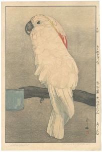 Yoshida Hiroshi / At the Zoological Garden / Salmon-crested Cockatoo