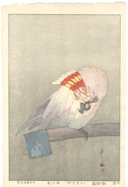 Yoshida Hiroshi “At the Zoological Garden / Major Mitchell's Cockatoo”