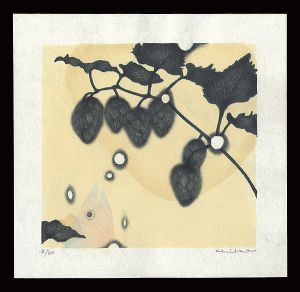 空色の魚