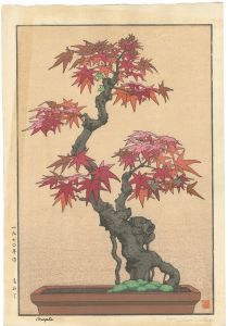 吉田司「もみじ」