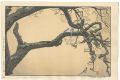 Plum Tree and Blue Magpie