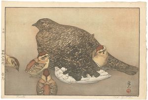 吉田遠志「雷鳥」