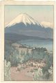 The Fuji New Grand Hotel