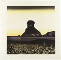 Landscape - Ninja Point