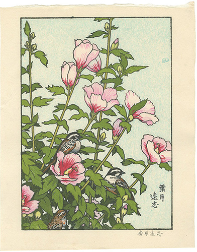 吉田遠志「葉月」