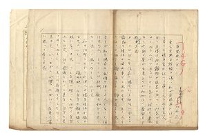 Yamamoto Tadashi / Autograph manuscript:About portraits