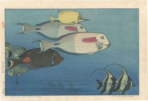 ホノルル水族館