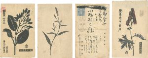 藤森静雄「自筆葉書」