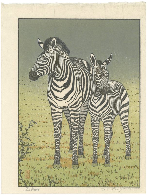 吉田遠志「Zebras」