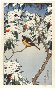 吉田遠志「積雪の葉かげに」
