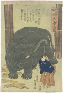 中天竺舶来 大象之図