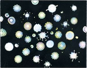microcosmos